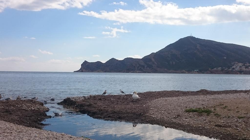 Hostal Ventorrillo El Albir Eksteriør billede